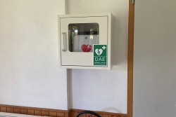 Travaux au chalet 2025